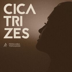 Cover of Cicatrizes