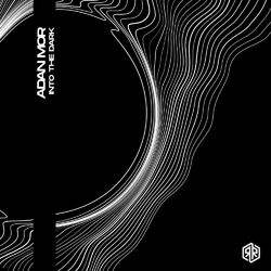 Cover of Into The Dark