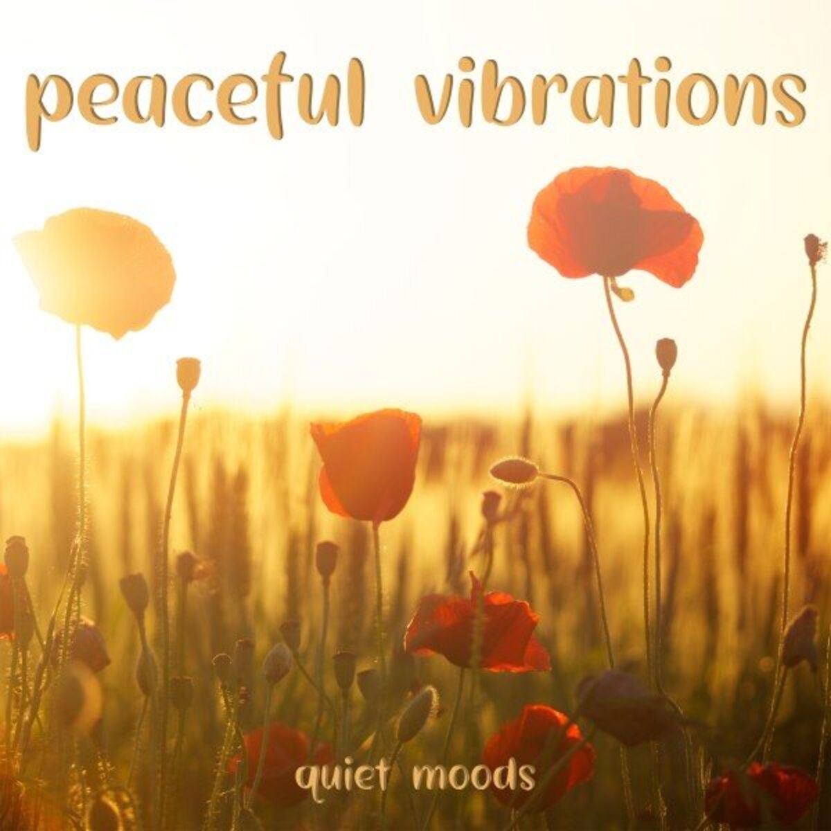 Album cover of Peaceful Vibrations