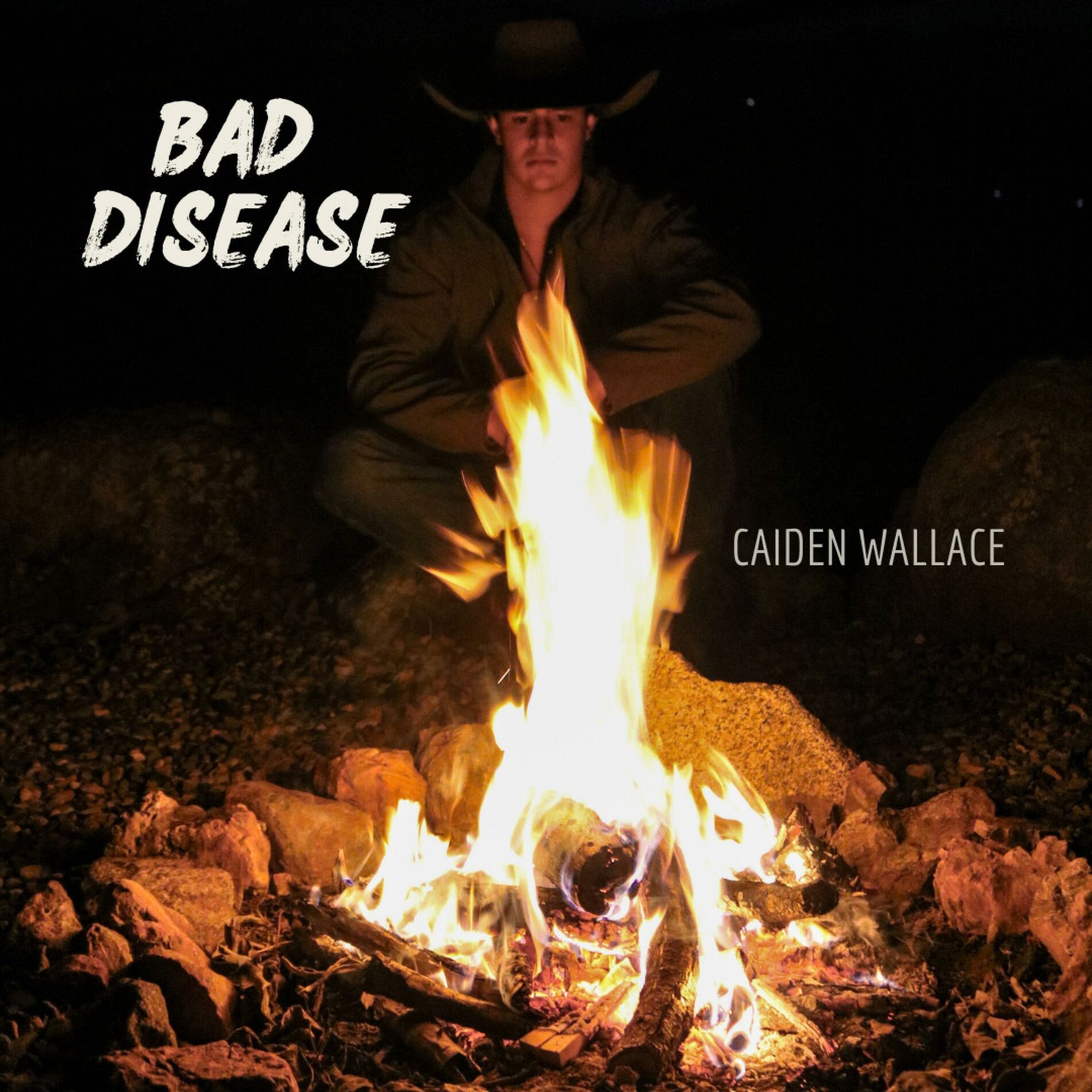 Album cover of Bad Disease