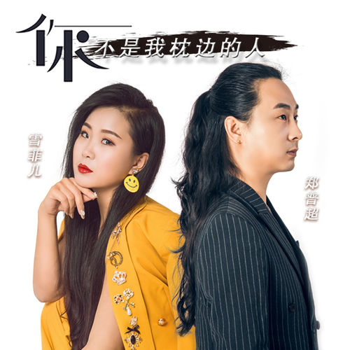 你不是我枕边的人 (合唱版)