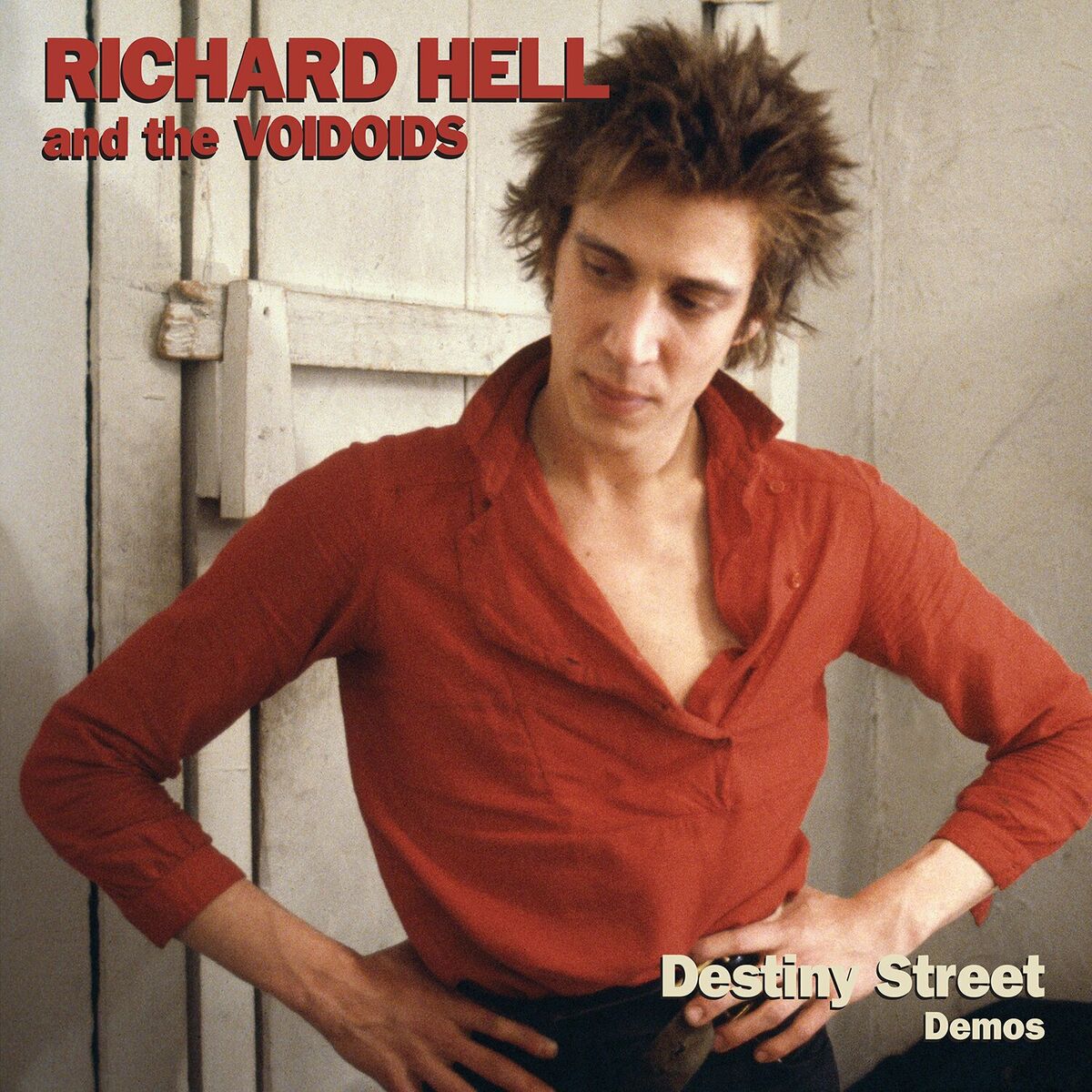 Album cover of I'm Your Man