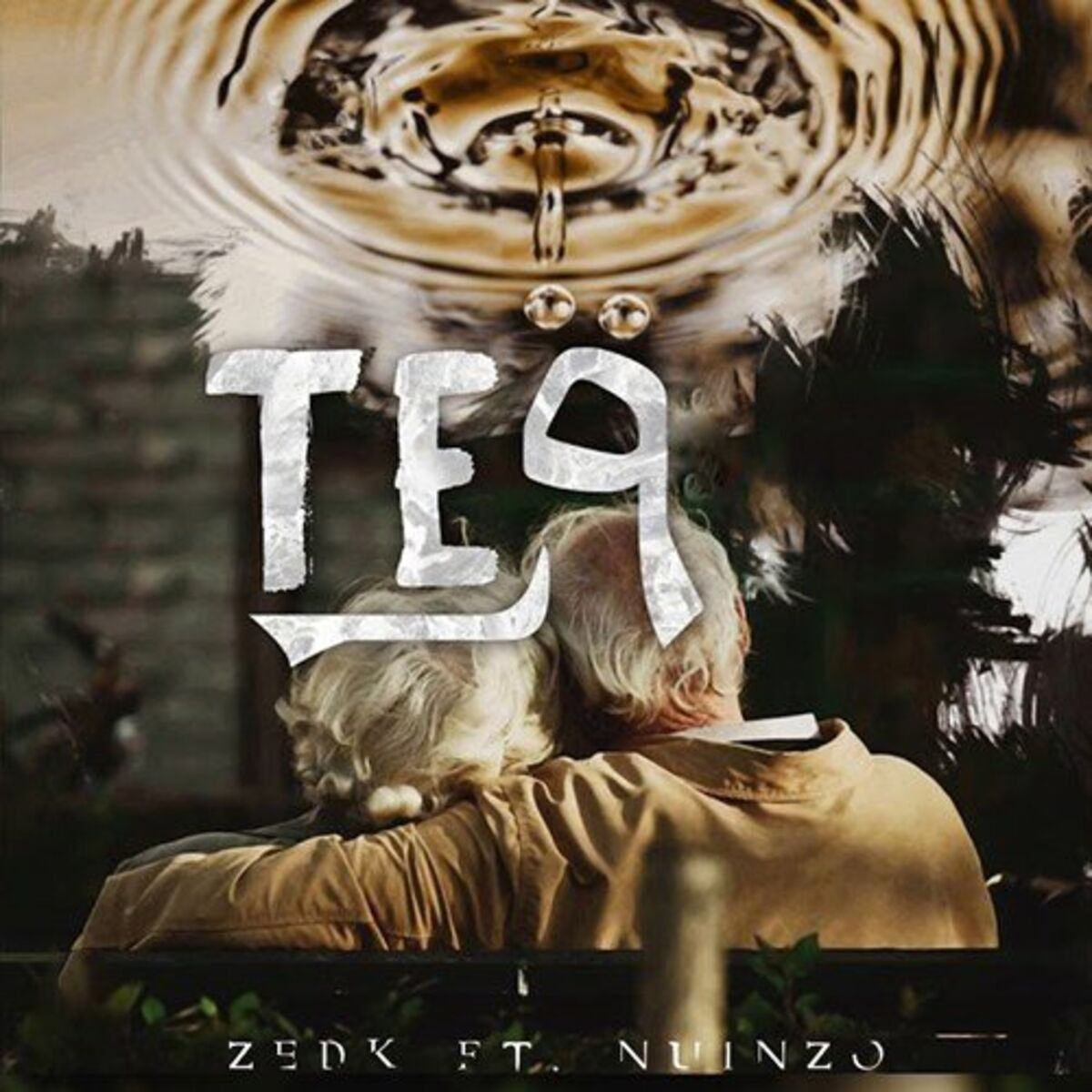 Album cover of Te9 Ft. Nuinzo