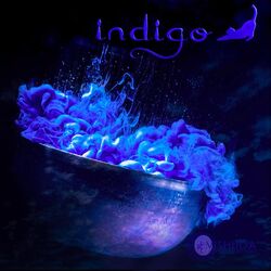 Cover of Indigo