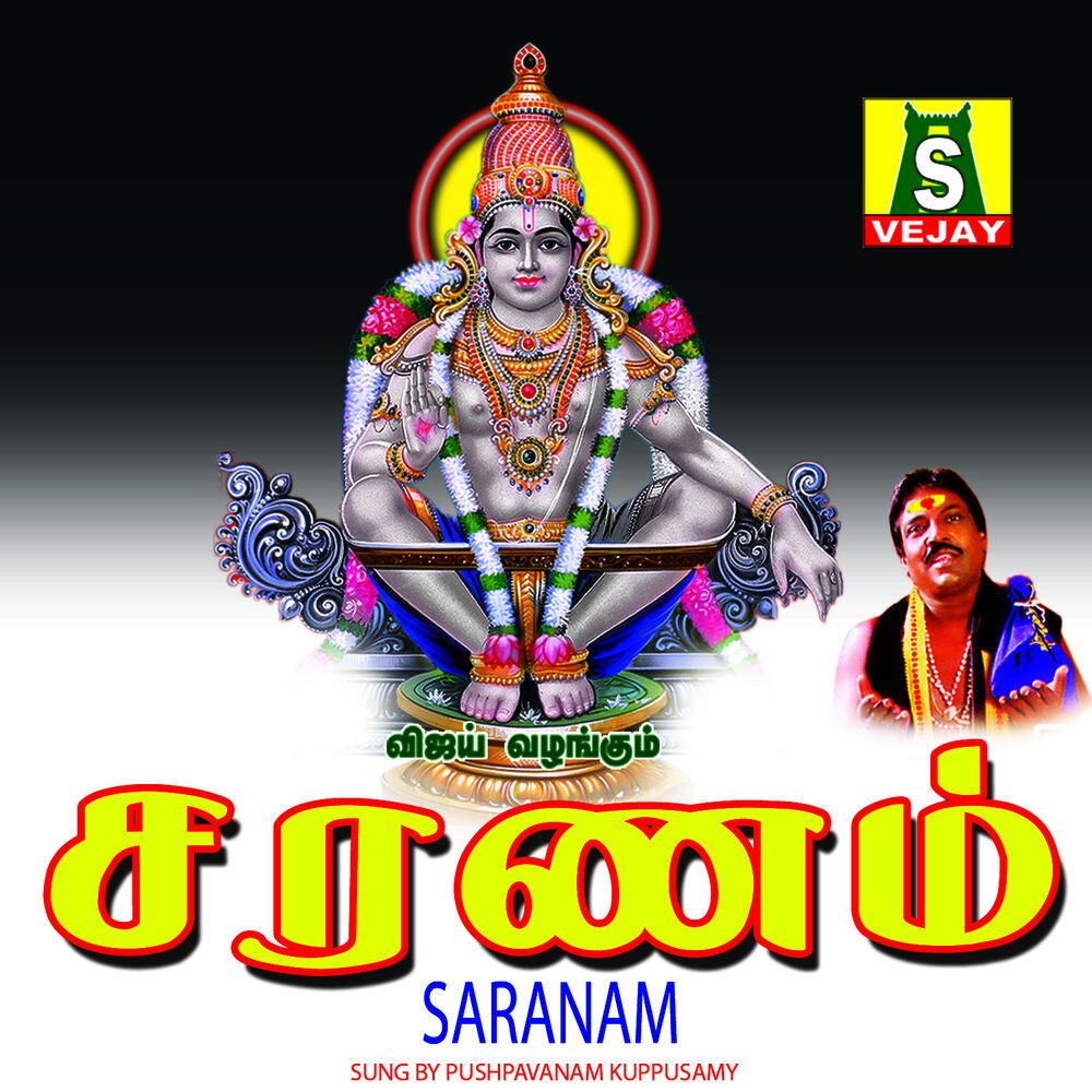 Picture of Saranam