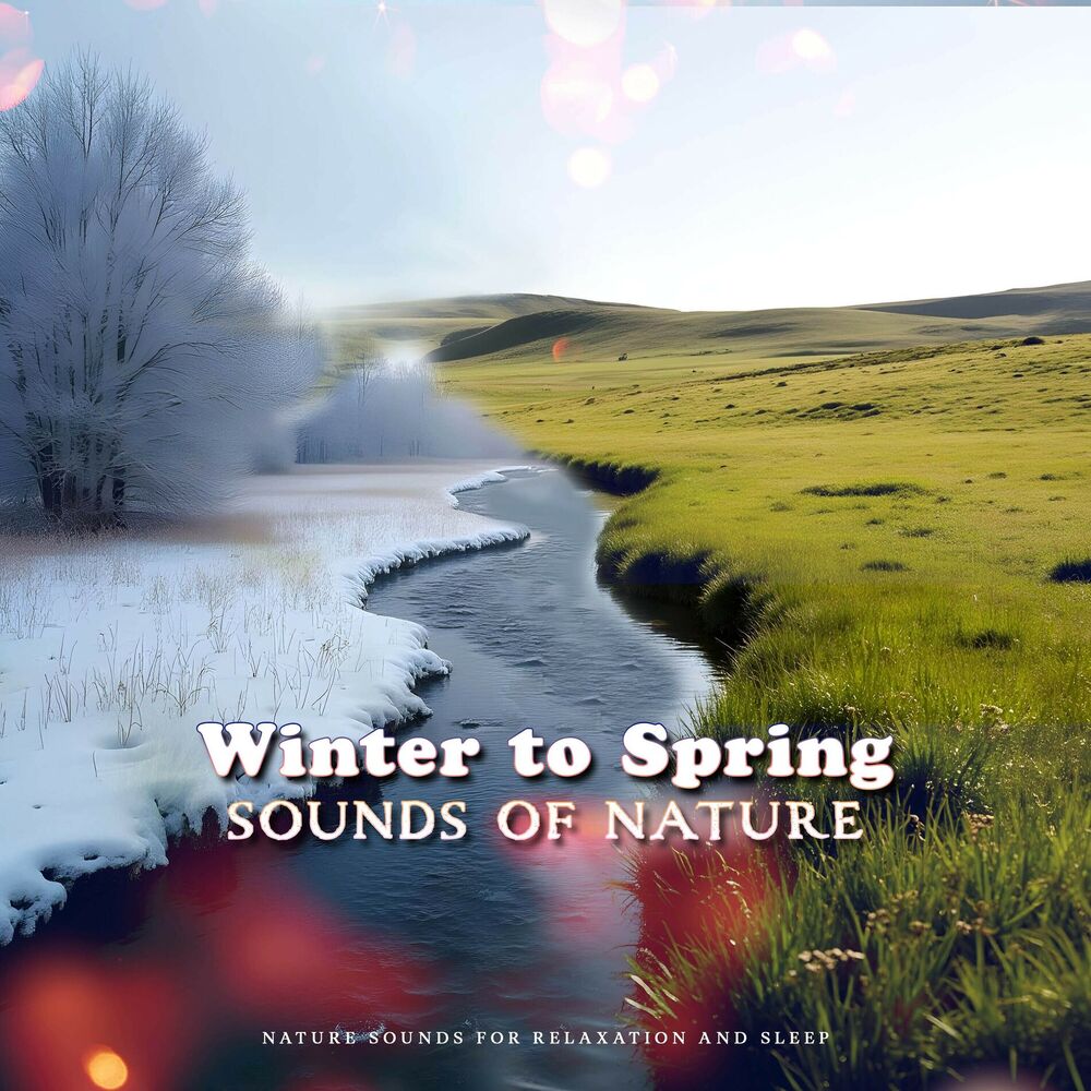 Picture of Winter to Spring Sounds of Nature