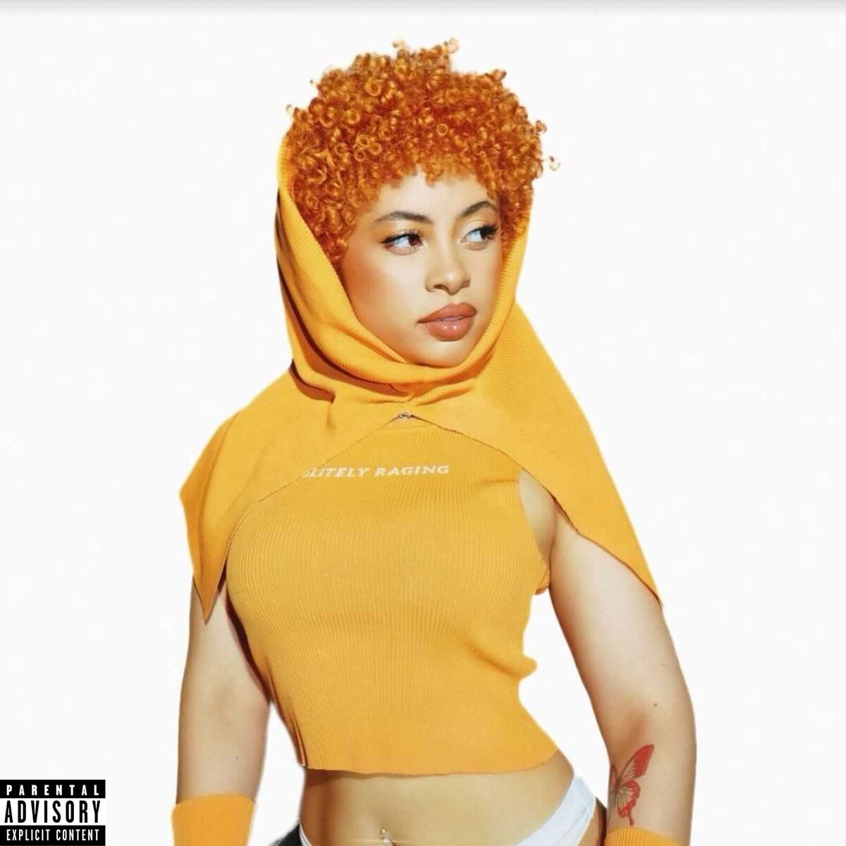 Album cover of Ice Spice