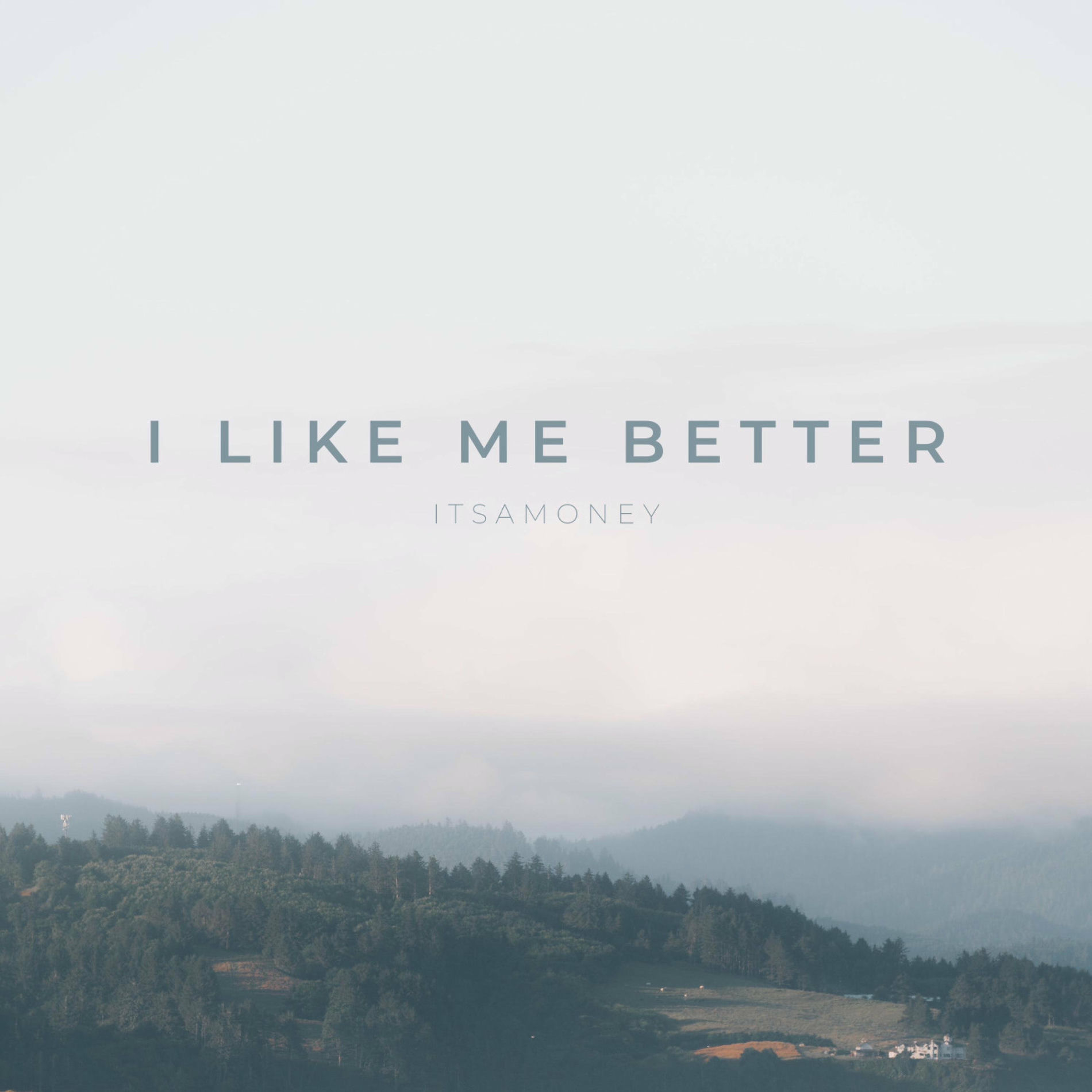 Album cover of I Like Me Better (Violin Version)