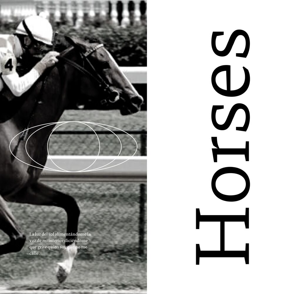 Picture of Horses