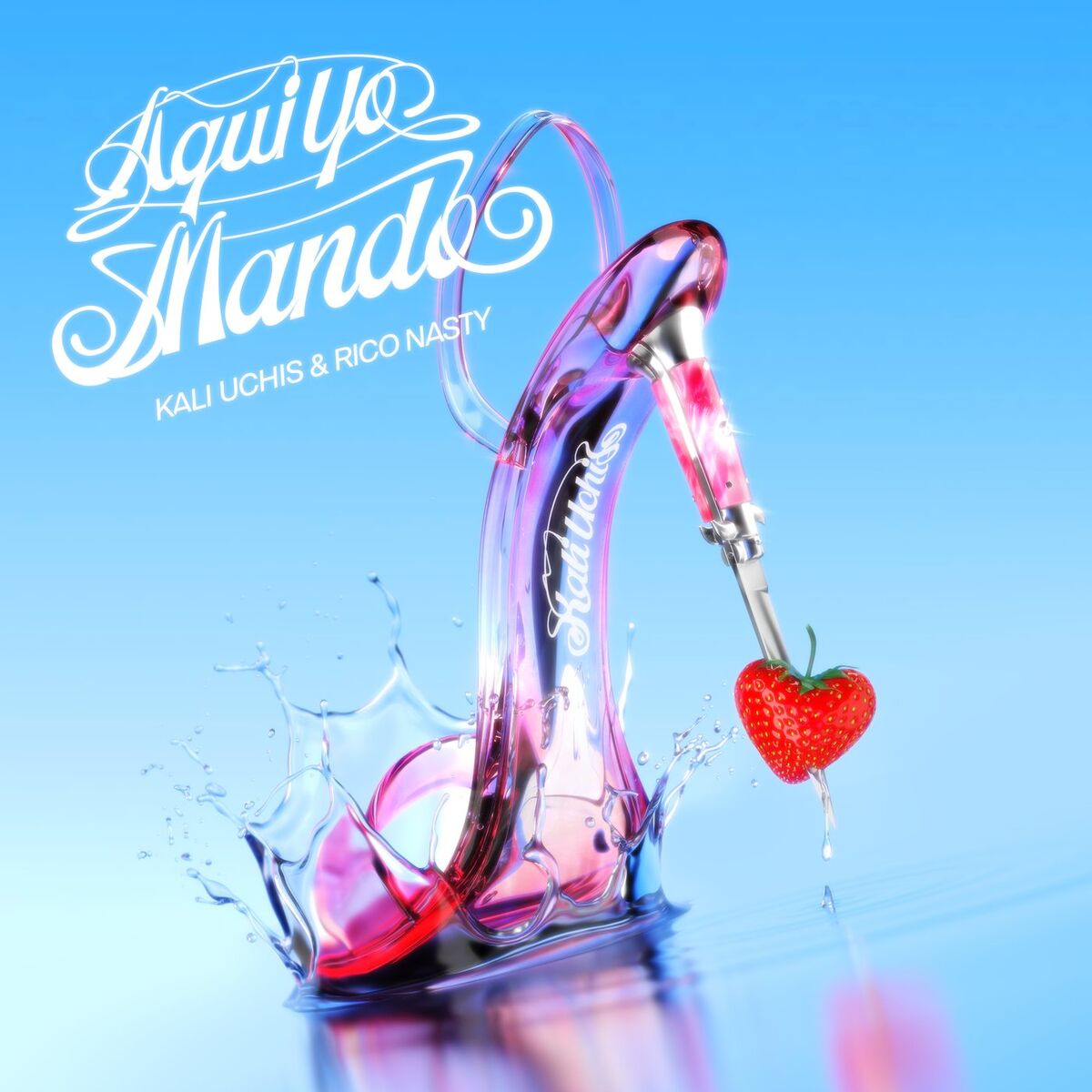 Album cover of ¡aquí yo mando!