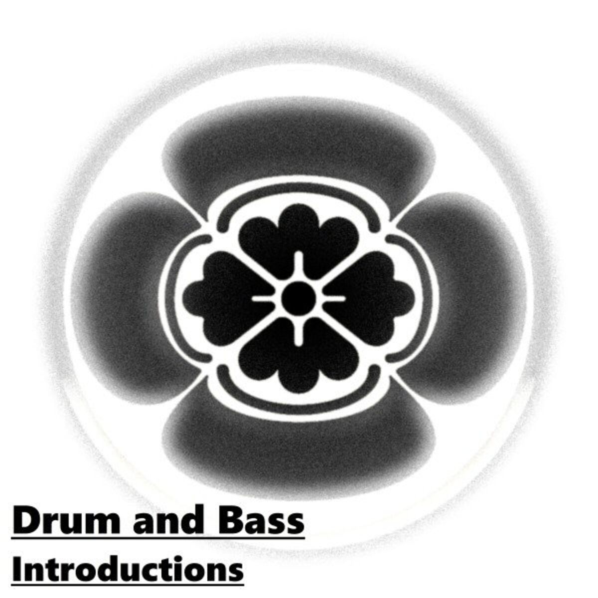 Album cover of Drum and Bass Introductions