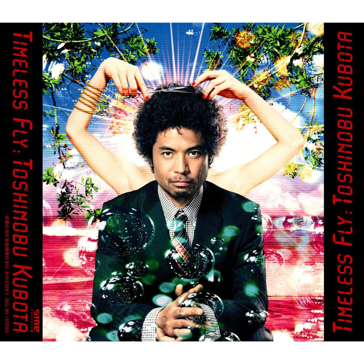 Album cover of Timeless Fly