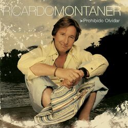 Cover of Prohibido Olvidar