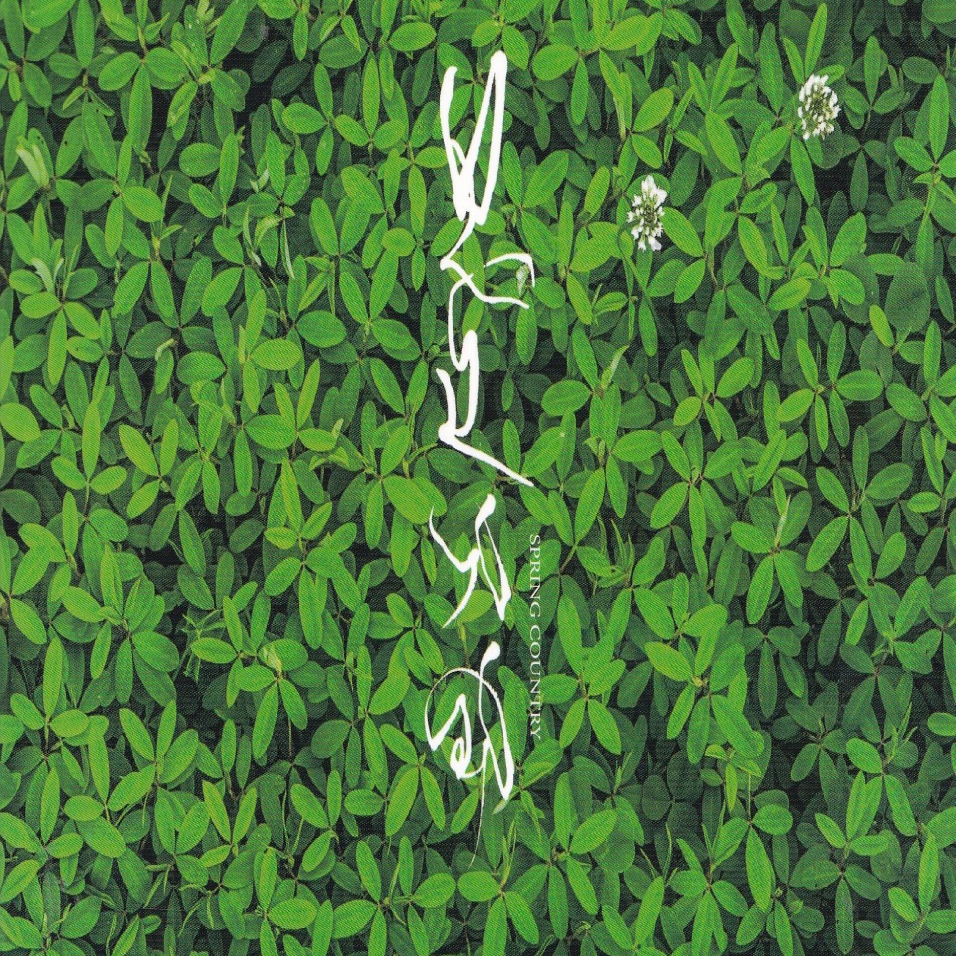 Album cover of 봄나라