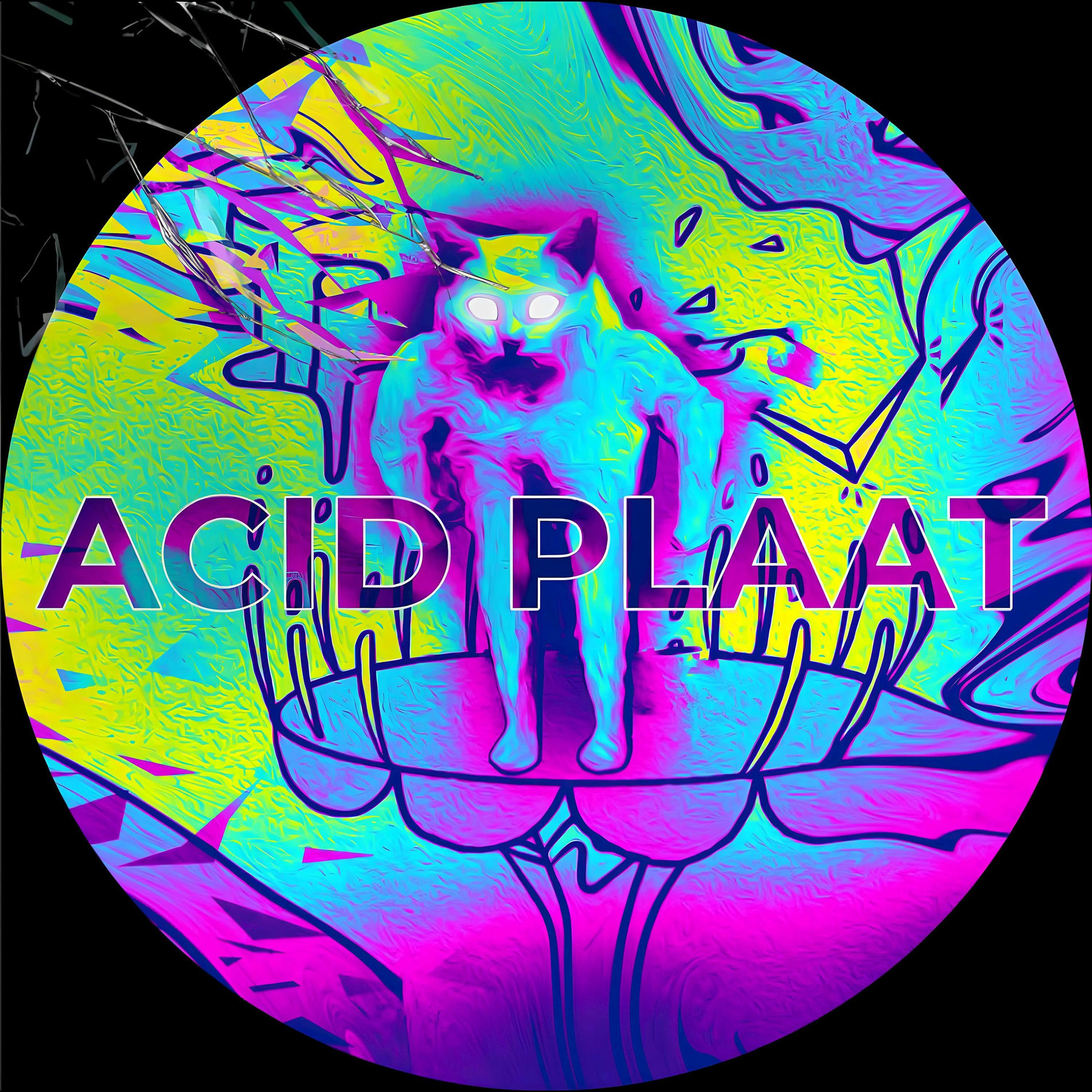 Album cover of Acid Plaat