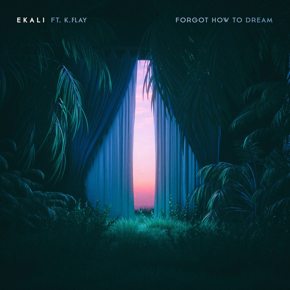 Picture of Forgot How To Dream (feat. K.Flay)