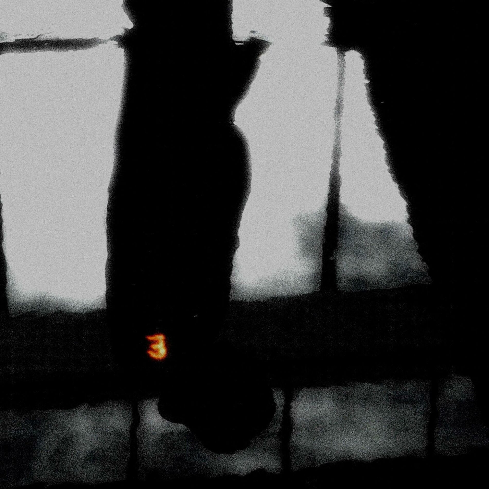 Album cover of dunya