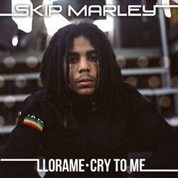 Cover of Llora Me