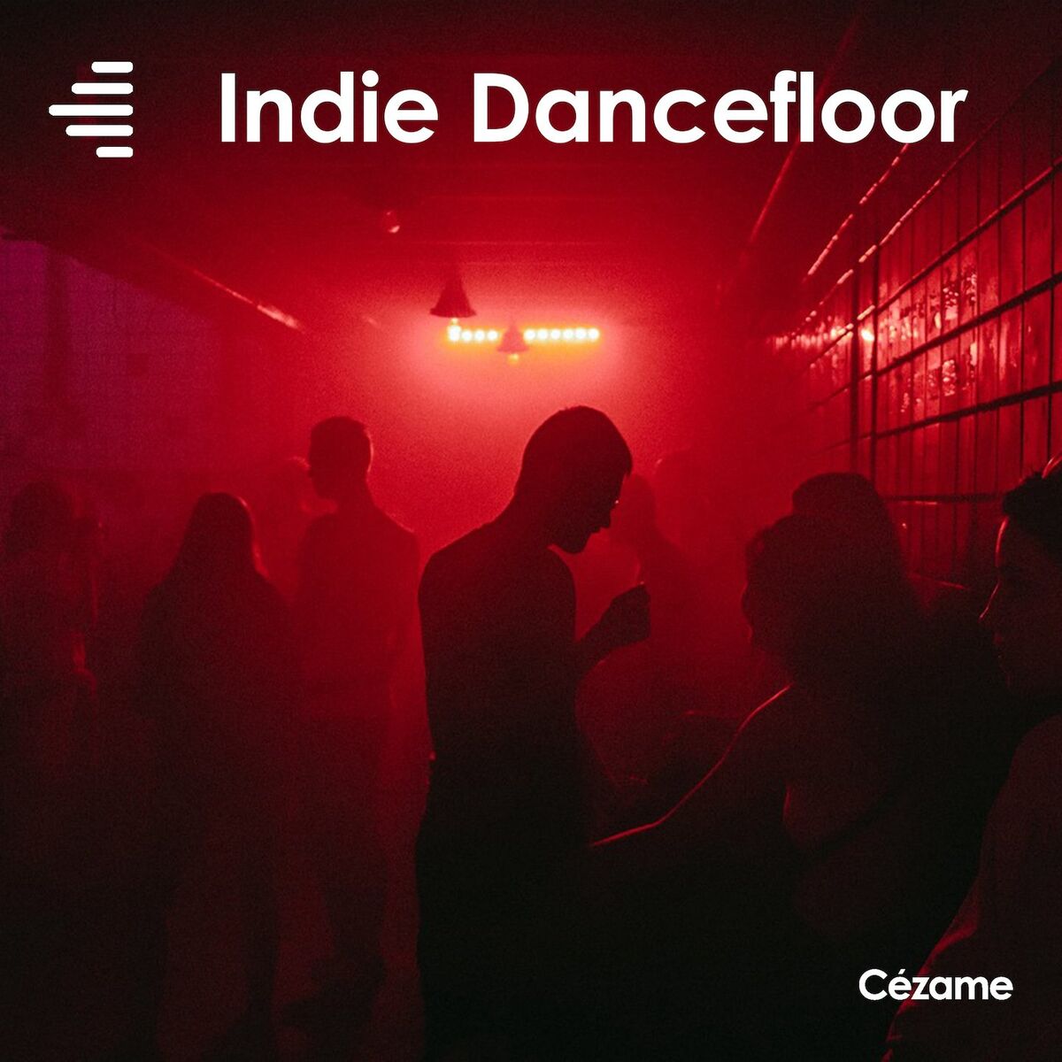 Album cover of Indie Dancefloor