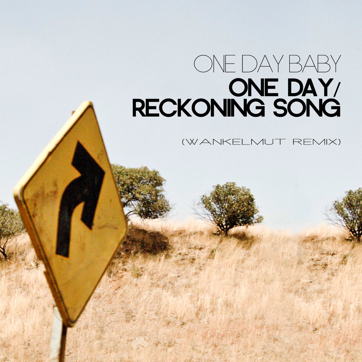 Album cover of One Day / Reckoning Song