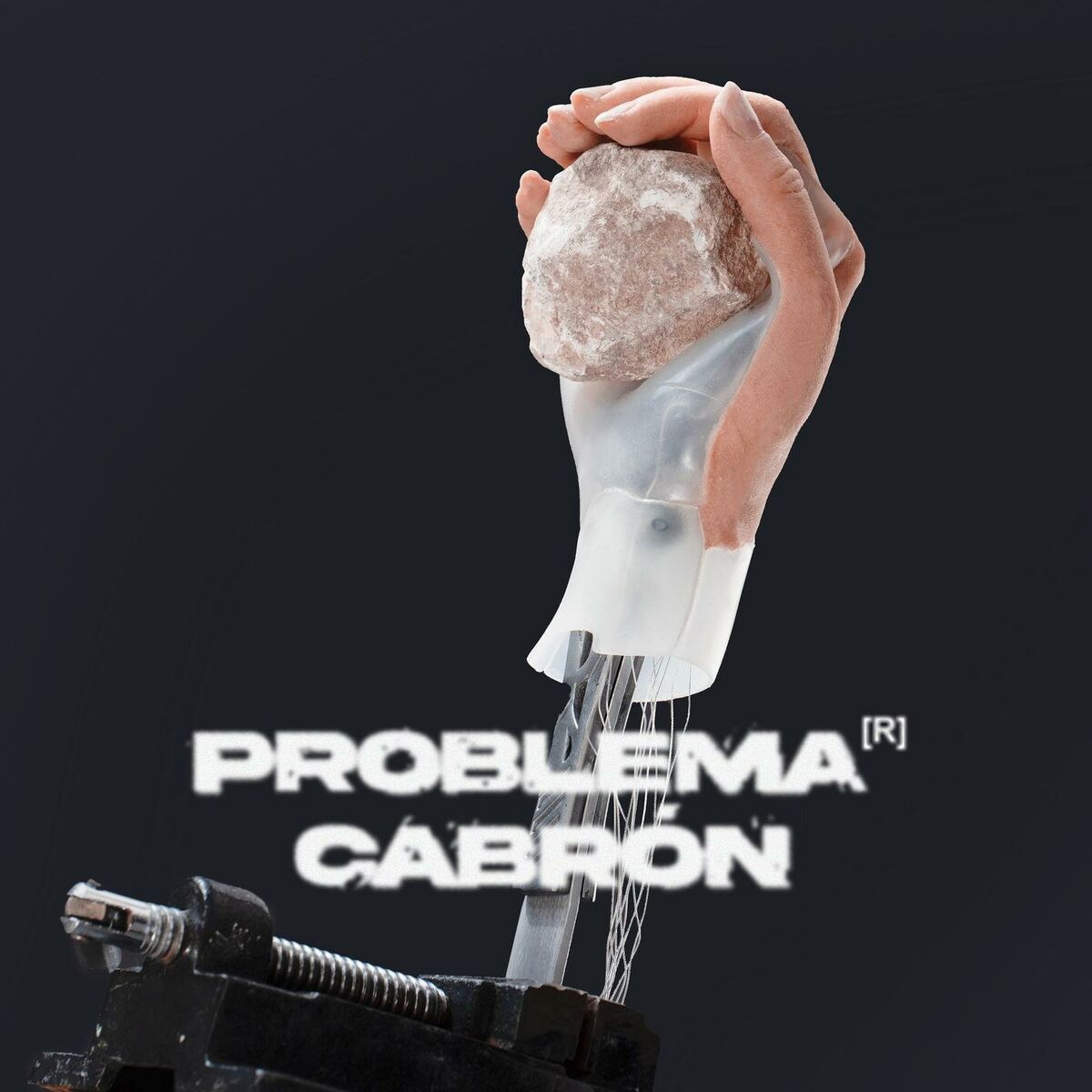 Album cover of Problema Cabrón