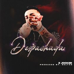 Cover of Despachada