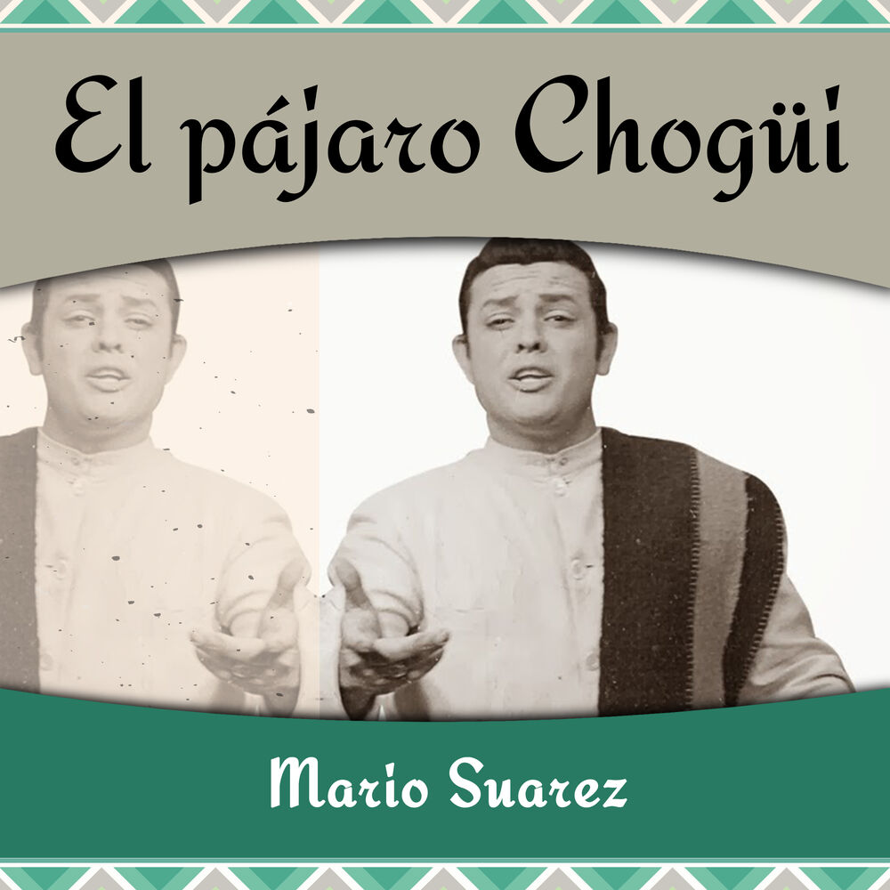 Picture of El pájaro Chogüi