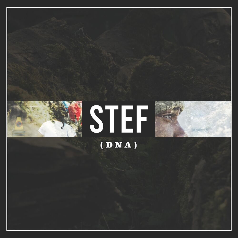 Picture of DNA