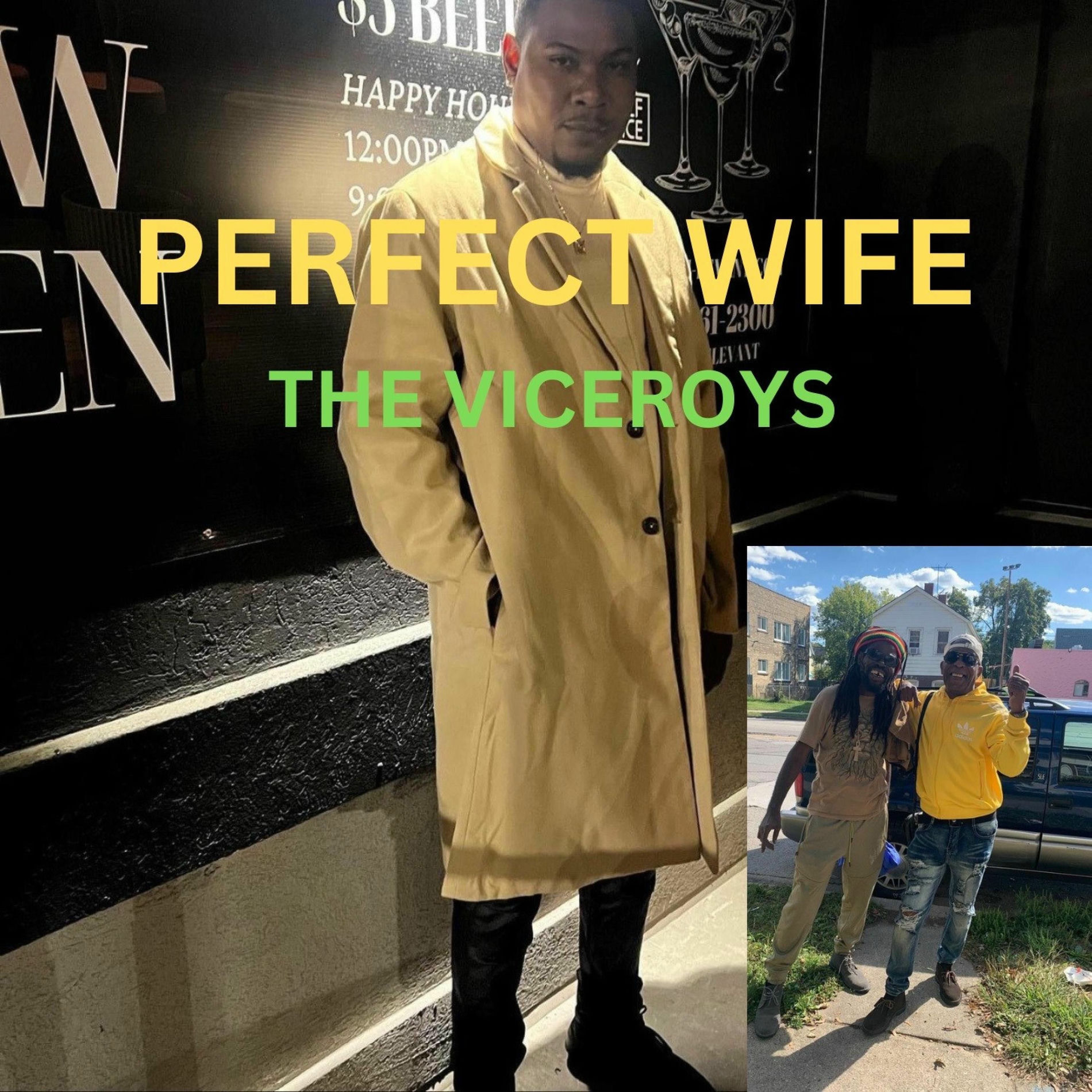 Album cover of Perfect Wife