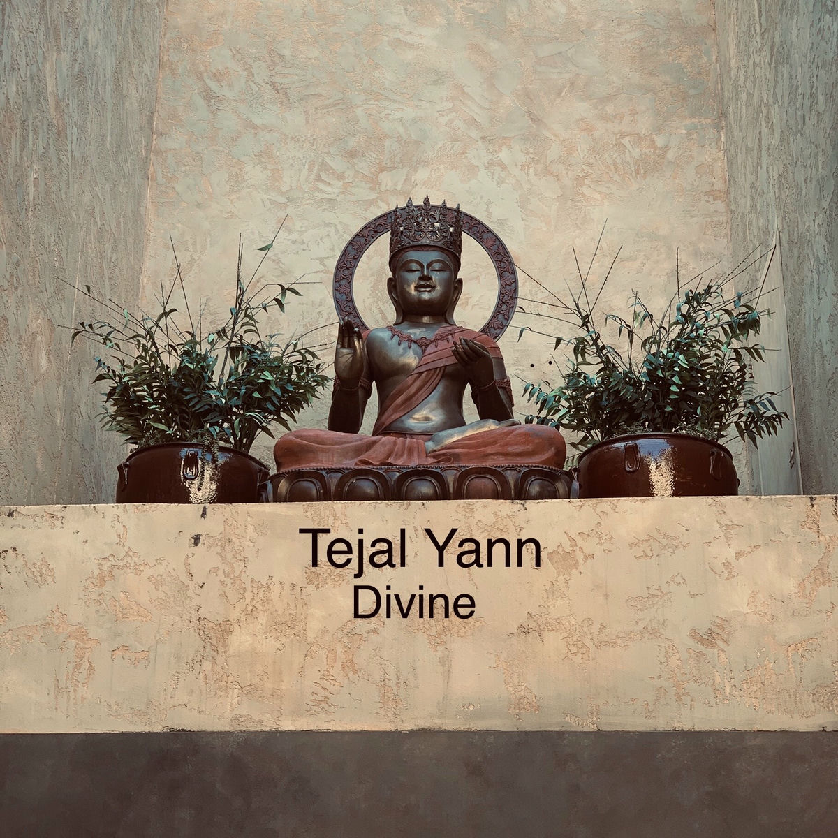 Album cover of Divine
