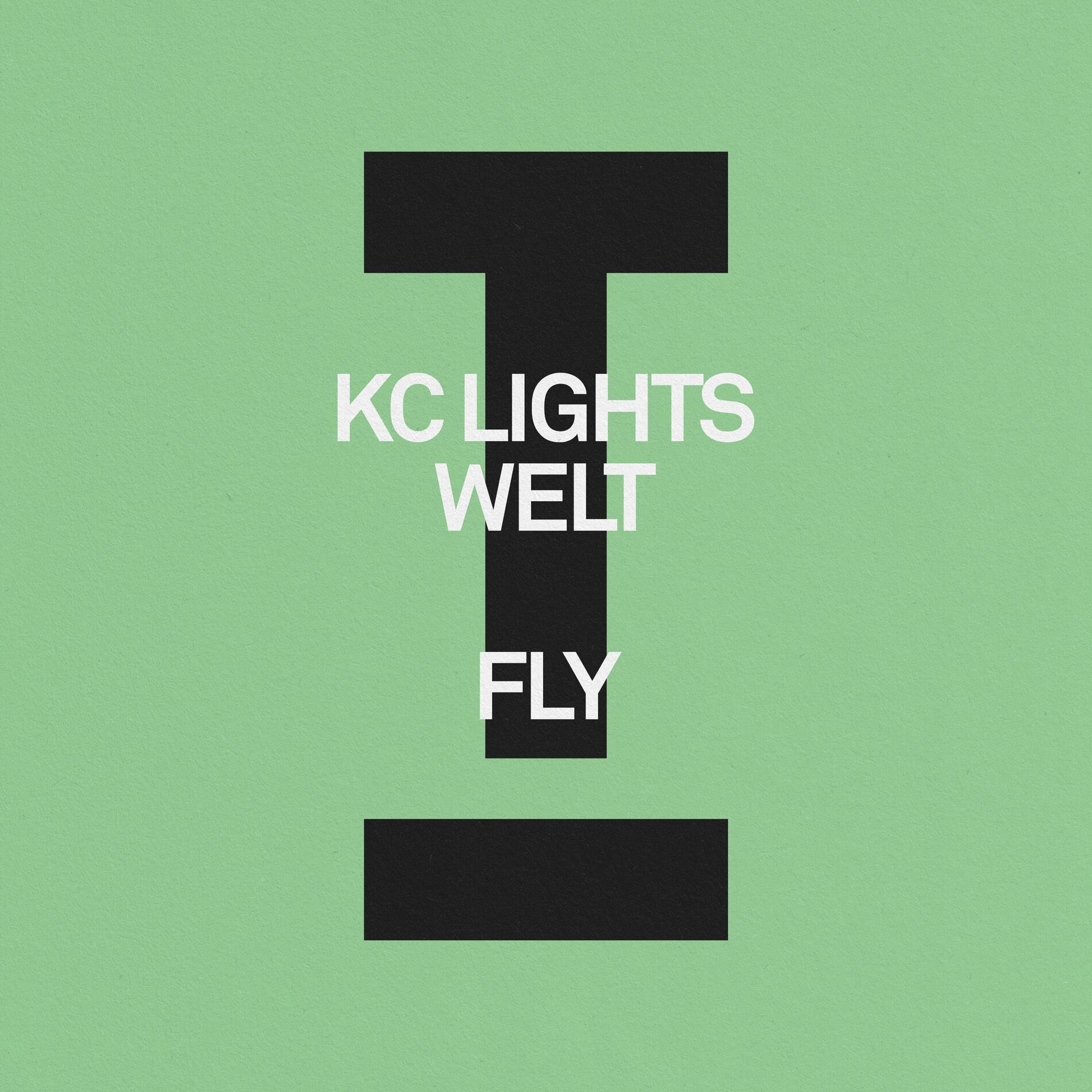 Album cover of Fly