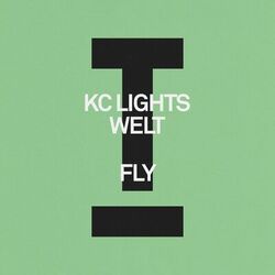 Cover of Fly