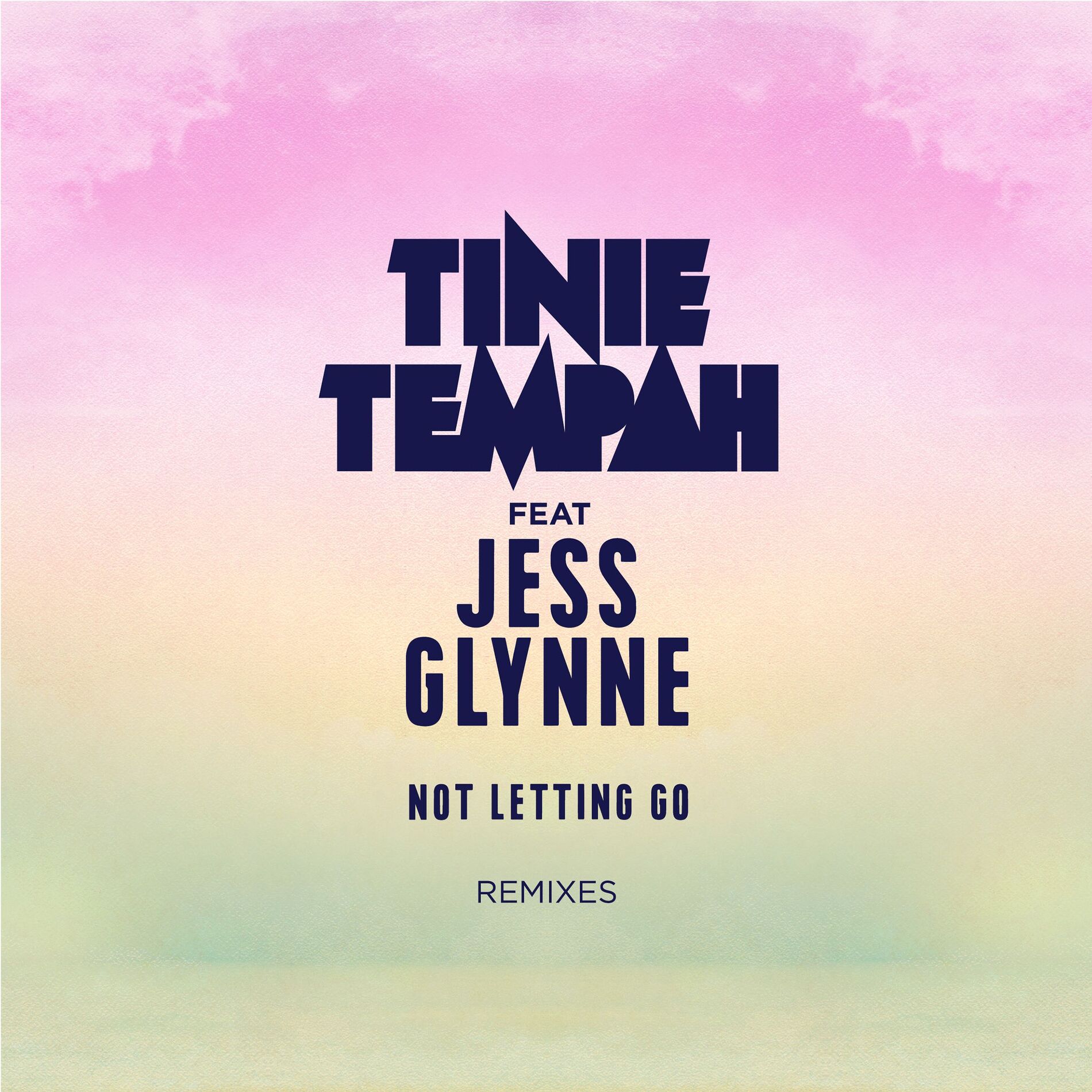 Album cover of Not Letting Go (feat. Jess Glynne)