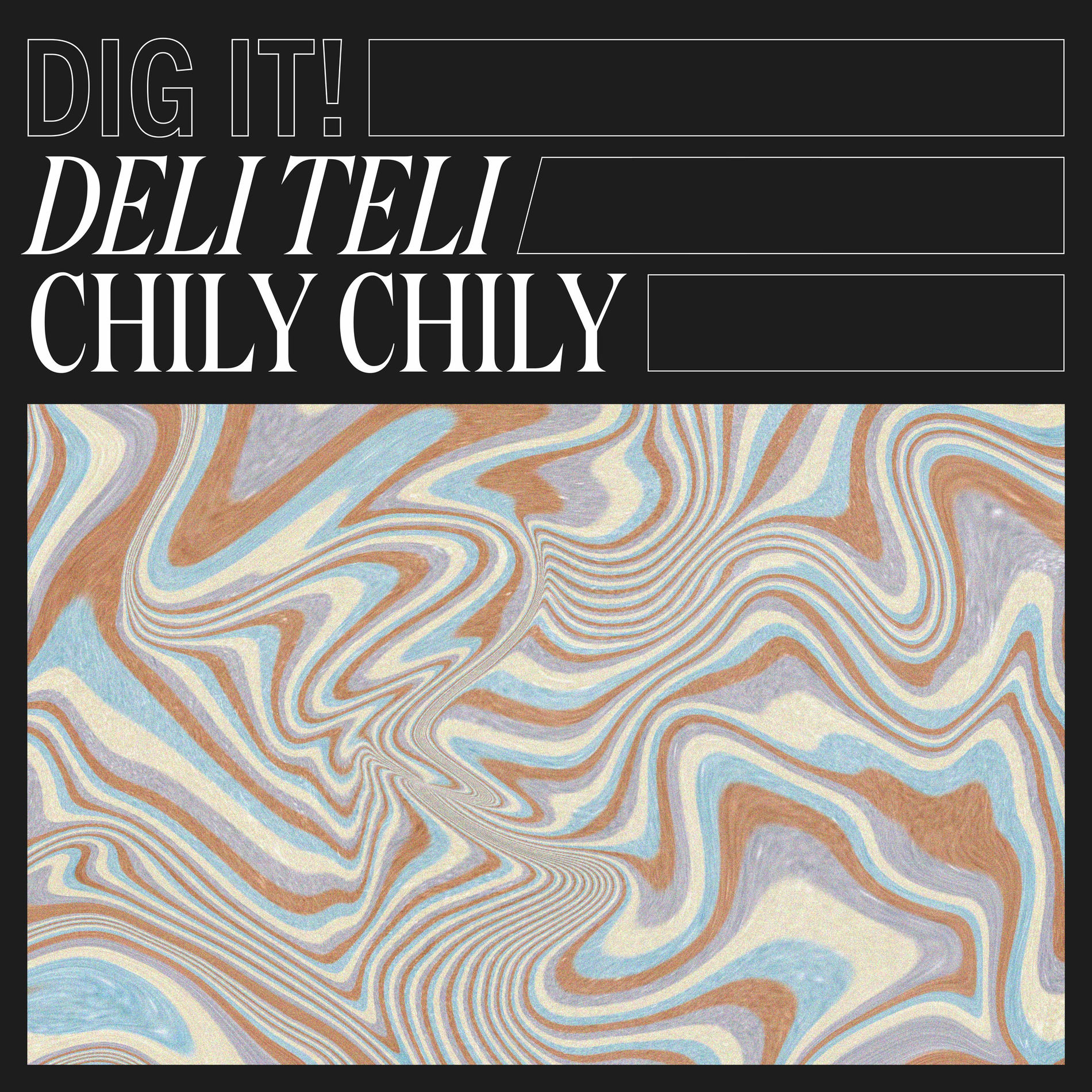 Album cover of Chily Chily