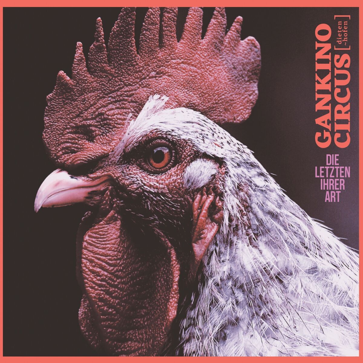 Album cover of So oder So