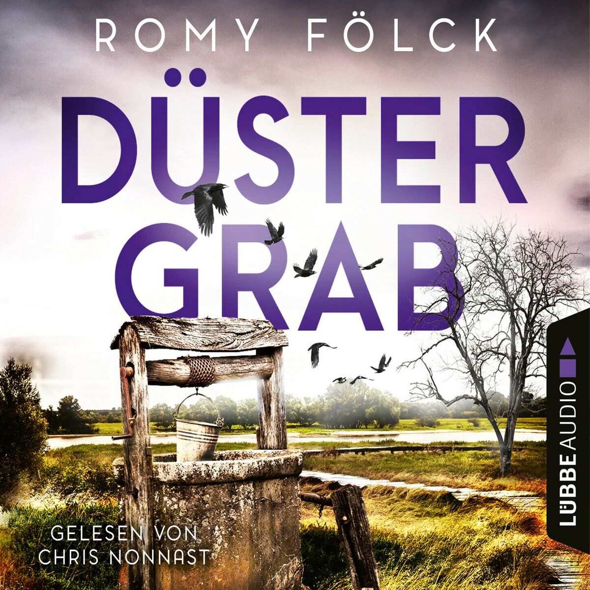 Album cover of Düstergrab - Elbmarsch-Krimi, Teil 6 (Gekürzt)