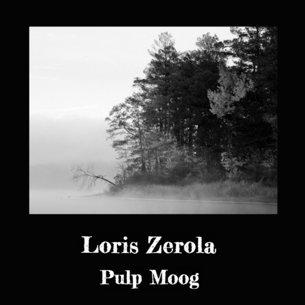 Picture of Pulp Moog