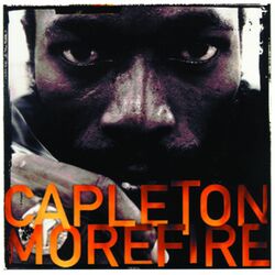 Cover of More Fire
