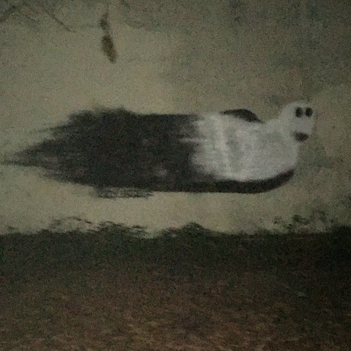 Album cover of The Ghost