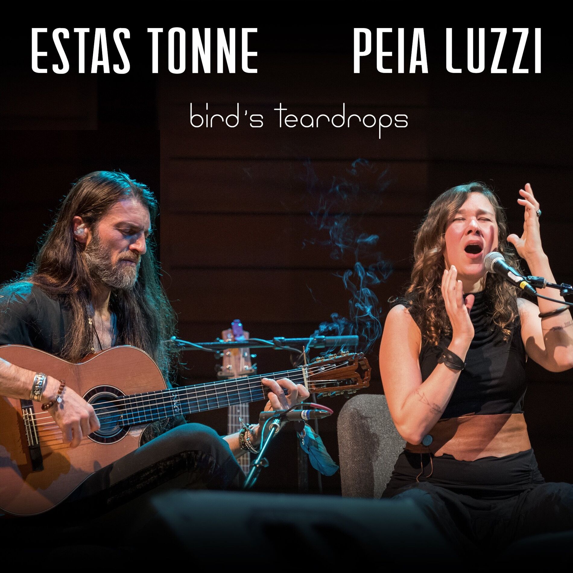 Album cover of Bird's Teardrops (Live)