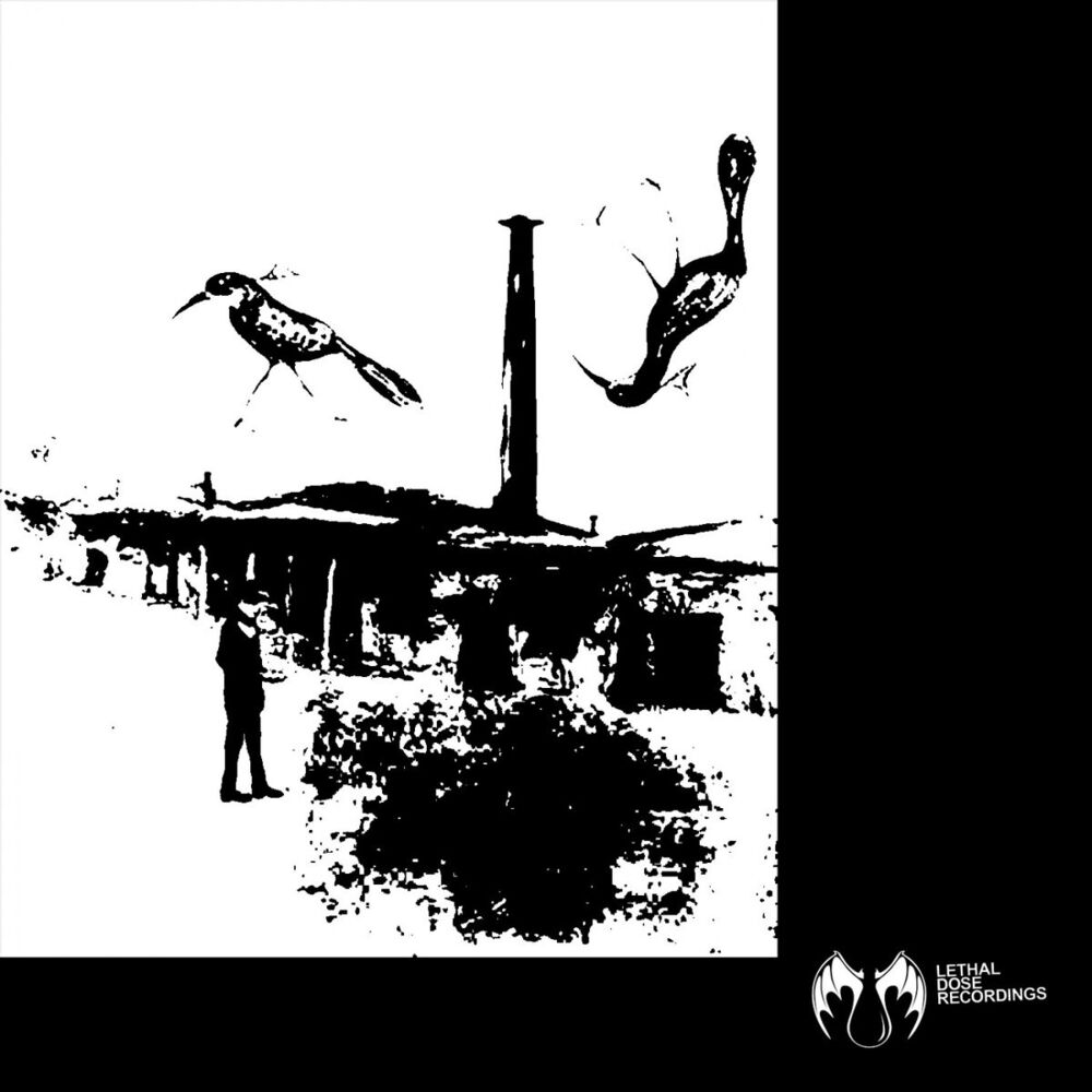 Picture of Filodendro EP