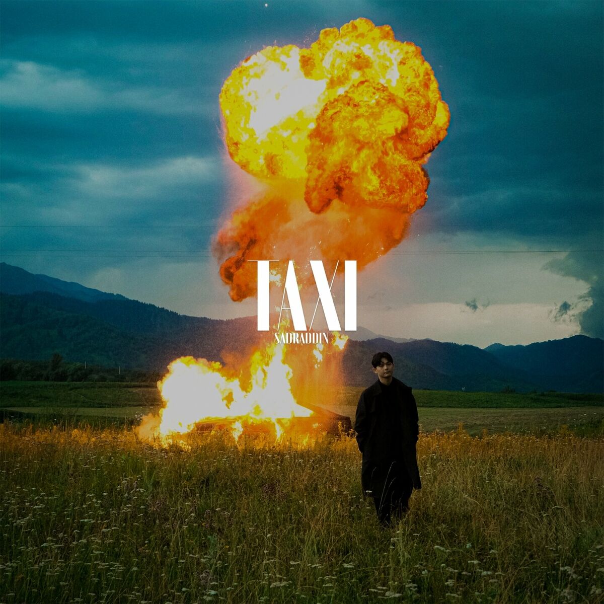 Album cover of Taxi