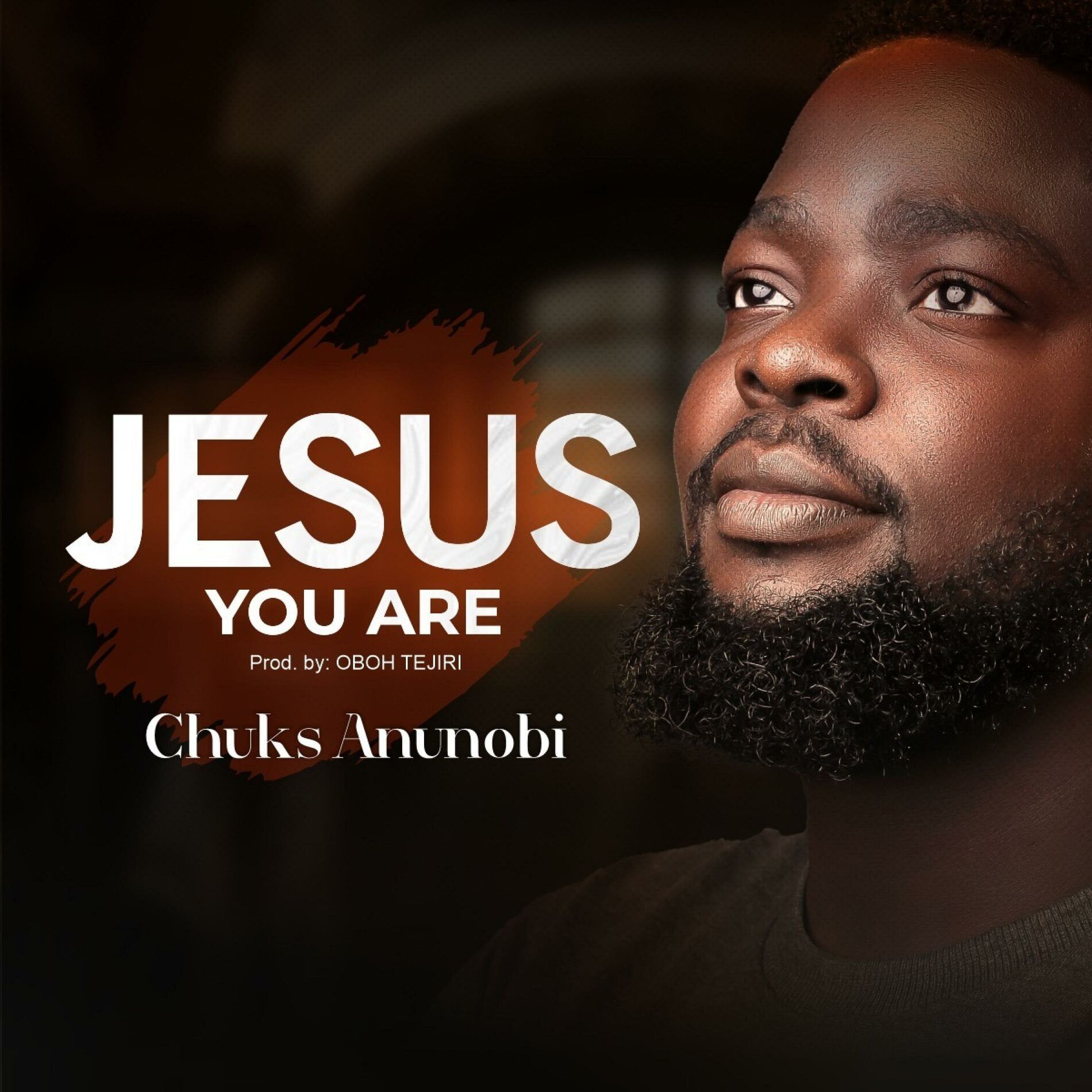 Album cover of JESUS YOU ARE