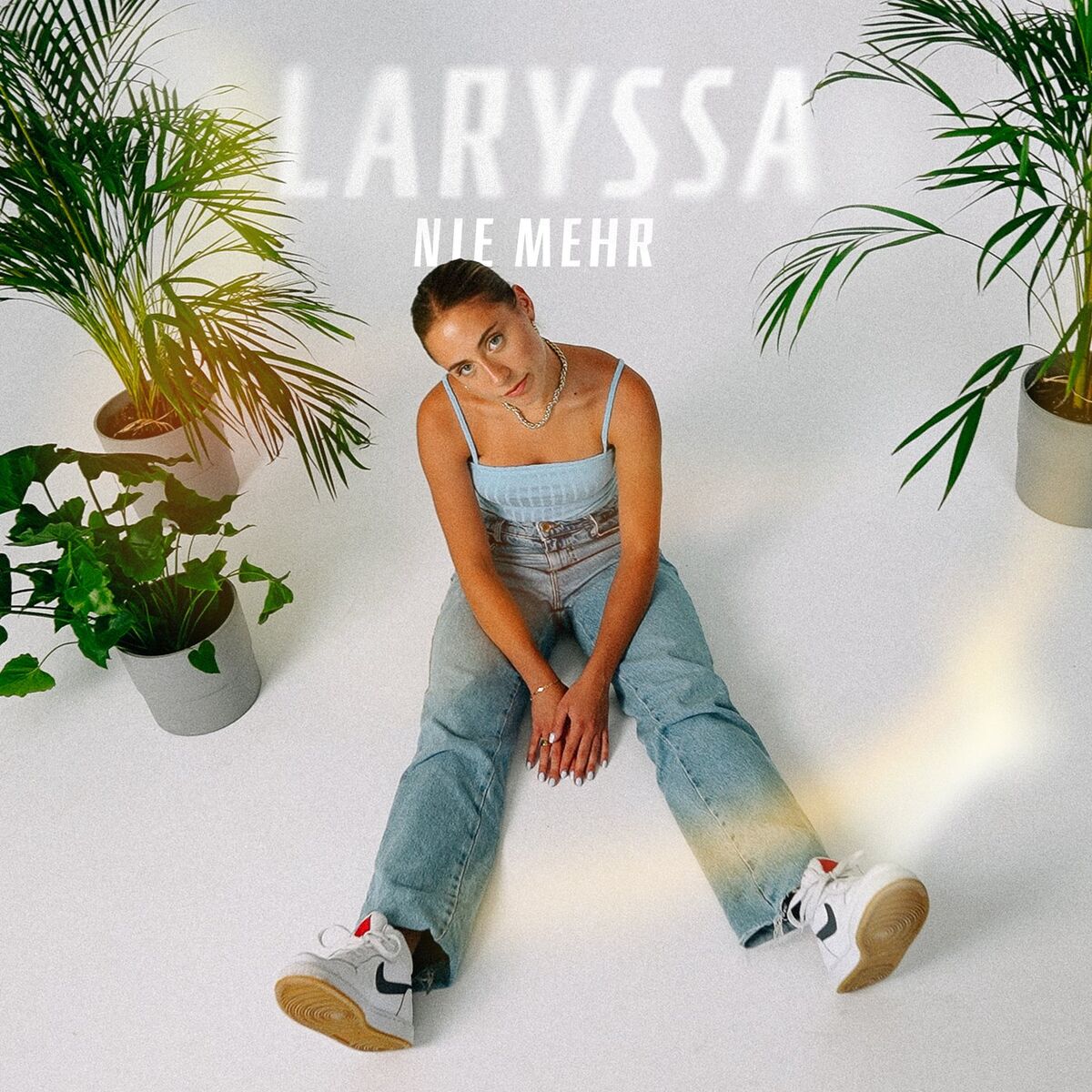 Album cover of Nie Mehr