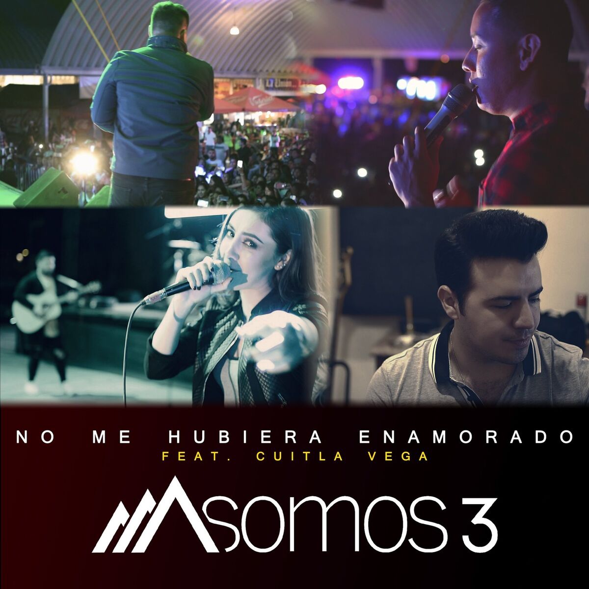 Album cover of No Me Hubiera Enamorado