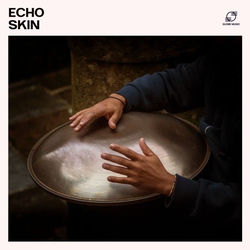 Cover of Echo Skin by undefined