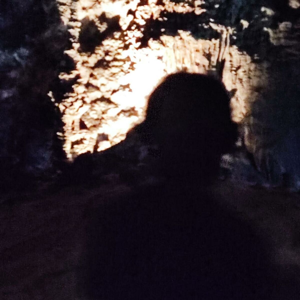 Album cover of Vuelta