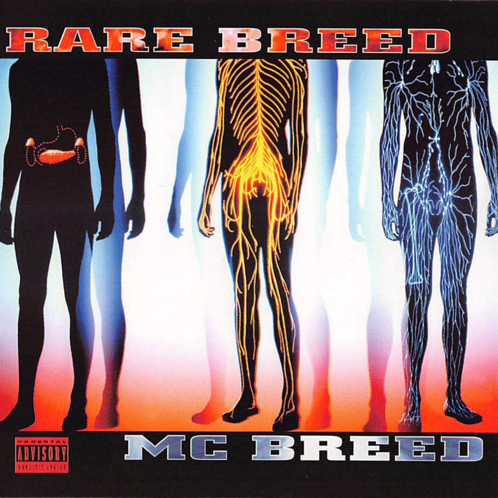 Album cover of Rare Breed