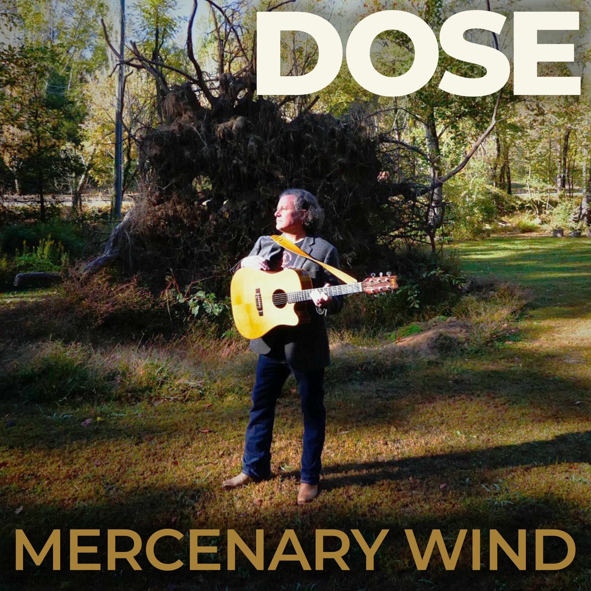 Album cover of Mercenary Wind