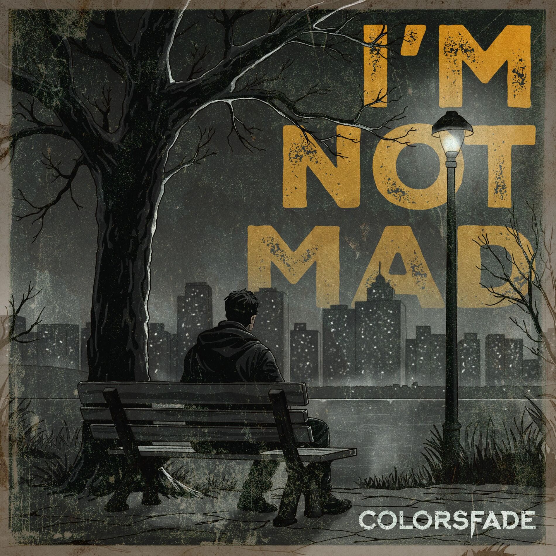Album cover of I'm Not Mad